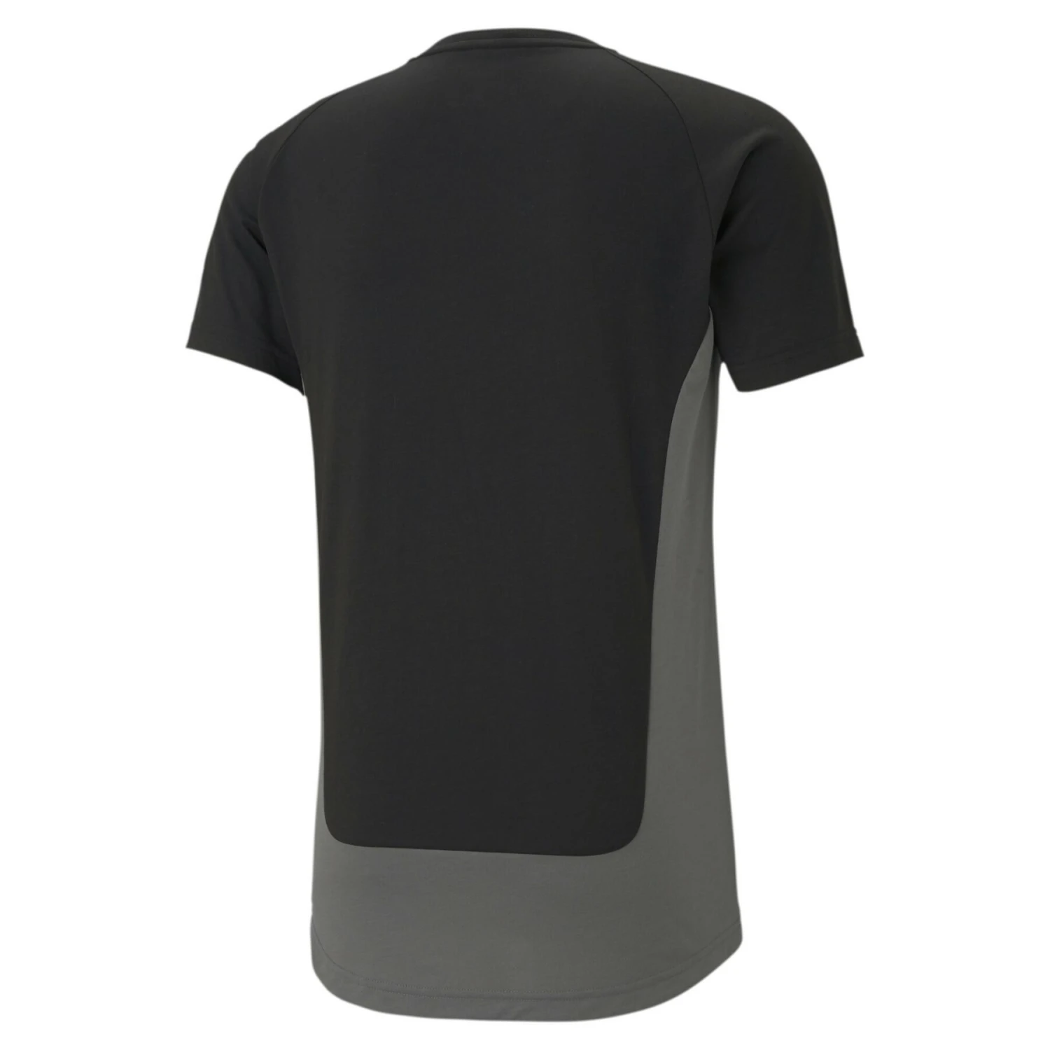 Puma T-shirt Borussia Dortmund Evostripe 2021/22 4 Puma T-shirt Borussia Dortmund Evostripe 2021/22 – Bild 2