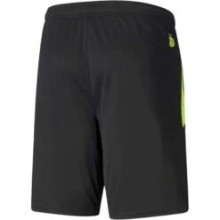 Kurz Puma Borussia Dortmund Training -ADIDAS Verkäufe 759143 05 1