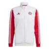 ADIDAS Trainingsjacke Bayern München DNA -ADIDAS Verkäufe adidas hy3282 1 apparel photography front view white