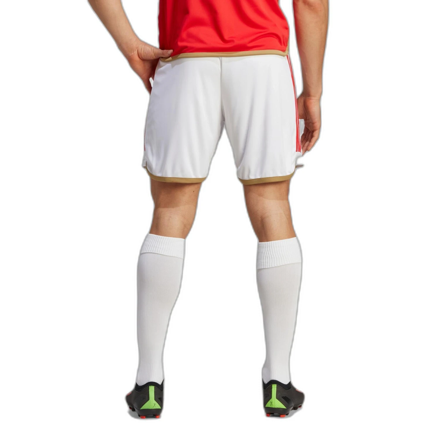 ADIDAS Heim-Shorts Benfica Lisbonne 2023/24 4 ADIDAS Heim-Shorts Benfica Lisbonne 2023/24 – Bild 2