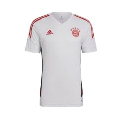 ADIDAS Trainingstrikot Bayern Munich 2022/23