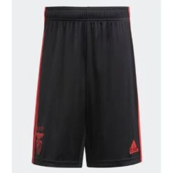 ADIDAS Outdoor-Shorts Benfica 2019/20
