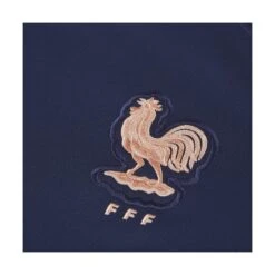 Nike Heimtrikot Frankreich Féminine 2019 -ADIDAS Verkäufe nike aj4394 410 phsyd001 new
