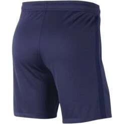 Nike Outdoor-Shorts Frankreich 2020 -ADIDAS Verkäufe nike cd0859 498 phsbh001 new