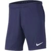 Nike Outdoor-Shorts Frankreich 2020