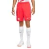 Nike Heim-Shorts RB Leipzig 2022/23 -ADIDAS Verkäufe nike dj7748 679 phsfm001 new
