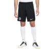Nike Shorts Heim/Auswärts Eintracht Francfort 2022/23