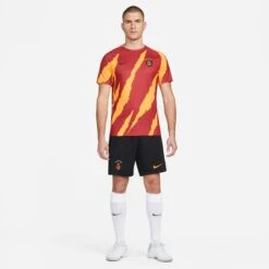 Nike T-Shirt Galatasaray 2022/23 -ADIDAS Verkäufe nike dm1700 629 phsym002 new