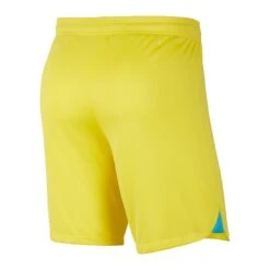 Nike Short Third Inter Milan 2022/23 -ADIDAS Verkäufe nike dn2724 714 phsbh001 new