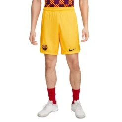 Nike Short Fourth FC Barcelone 2022/23
