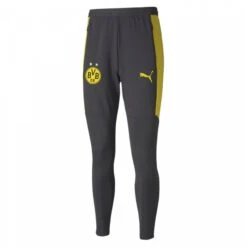 Puma Hosen Borussia Dortmund 2020/21